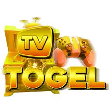 TVTOGEL - Permainan TPS Seru dan Menarik